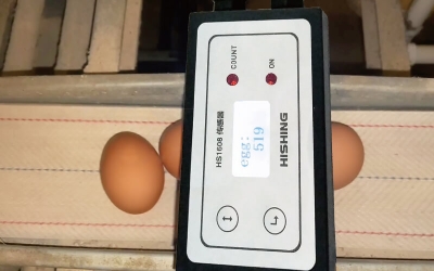 激光鸡蛋计数系统